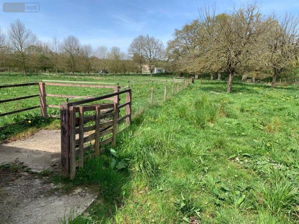 Maison à vendre à Betton en Ille-et-Vilaine (35830), ref : 35056-1584