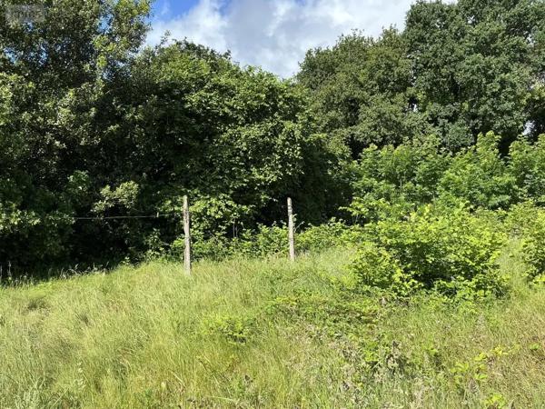 Achat - Maison Ploumagoar 22970 3 pièces 84 m 2 911 m 2