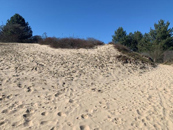 Appartement Stella 3 pièces 53.40 m²