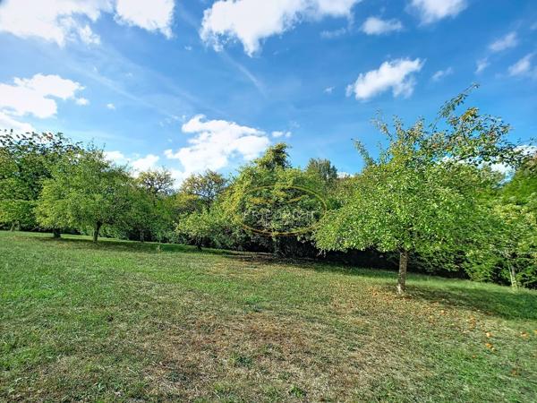 TERRAIN DE LOISIRS DANS UN ECRIN DE VERDURE Bar-le-duc