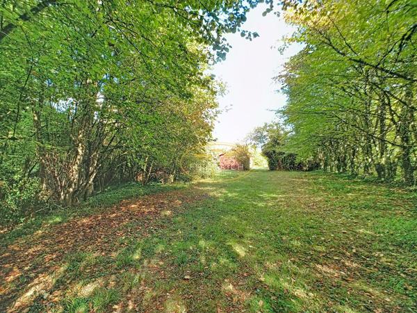 TERRAIN DE LOISIRS DANS UN ECRIN DE VERDURE Bar-le-duc