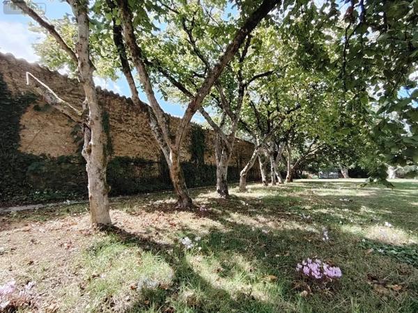 Achat - Maison Saint-Benoît 86280 5 pièces 129 m 2 1495 m 2