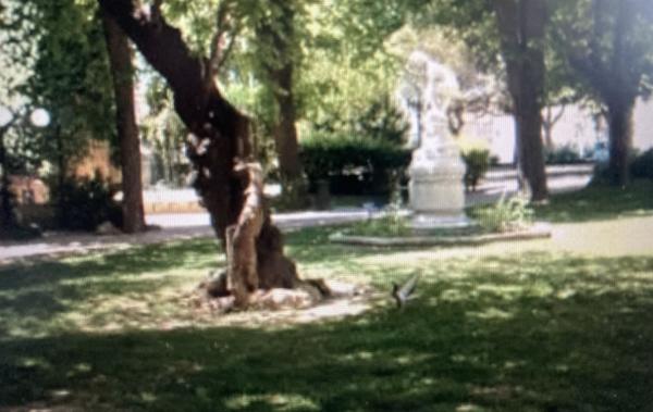 Vente Terrain Constructible Lezignan-corbieres