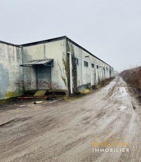 Hangar de 4000m2 à Ars sur Moselle