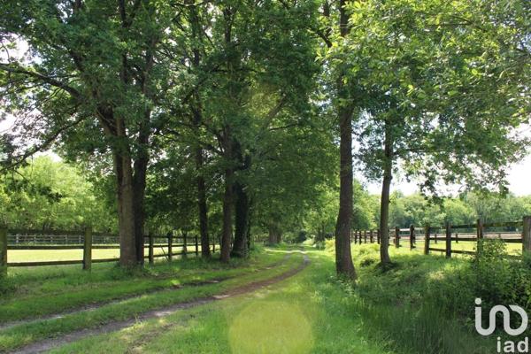 Maison 9 pièces de 400 m² à Seiches-sur-le-Loir (49140)