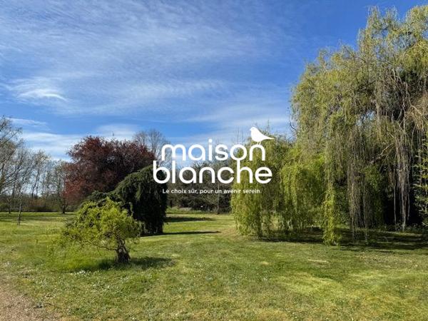 Maison lumineuse avec piscine – 10 000 m² de terrain – Saumur