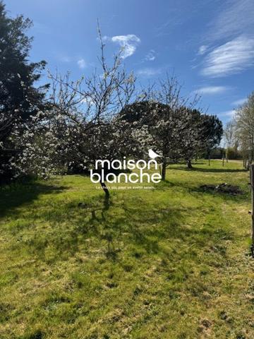 Maison lumineuse avec piscine – 10 000 m² de terrain – Saumur