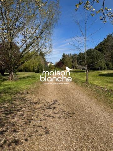 Maison lumineuse avec piscine – 10 000 m² de terrain – Saumur