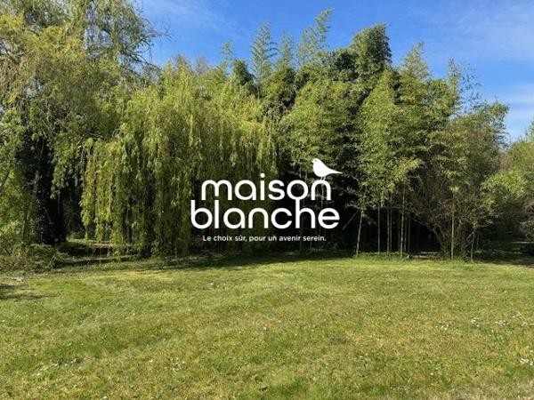 Maison lumineuse avec piscine – 10 000 m² de terrain – Saumur