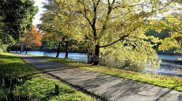 Appartement Lumineux, proximité commerces, T3 de 84,40m² avec volume et configuration d'un T4 à Brest(29)-Quartier Siam-Harteloire