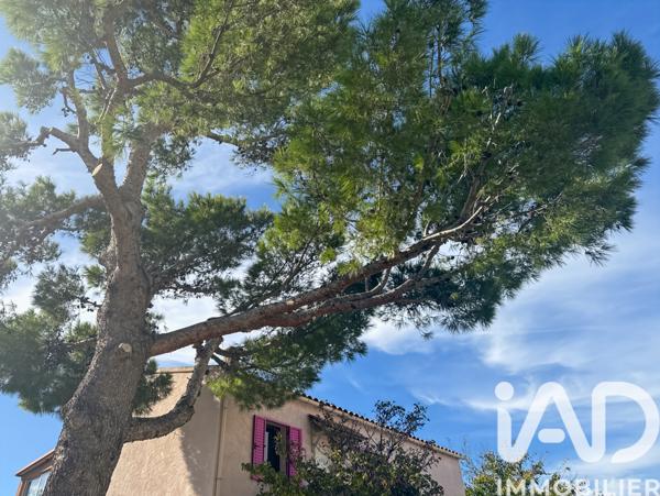 Maison à vendre 8 pièces 149 m² Luri