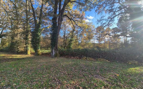 Appartement à vendre    4 pièces • 80 m2 Langon