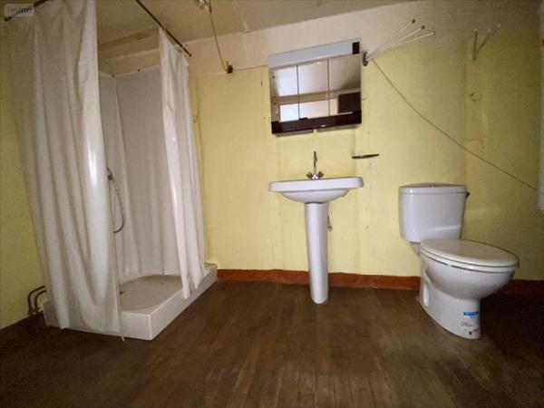 Maison à vendre à Saint-Illide dans le Cantal (15310), ref : 15061-1058070