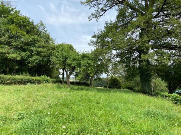 Maison à vendre à Saint-Illide dans le Cantal (15310), ref : 15061-1058070