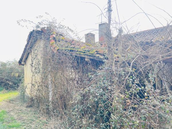 Maison 3 pièces - 70 m² Exclusivité