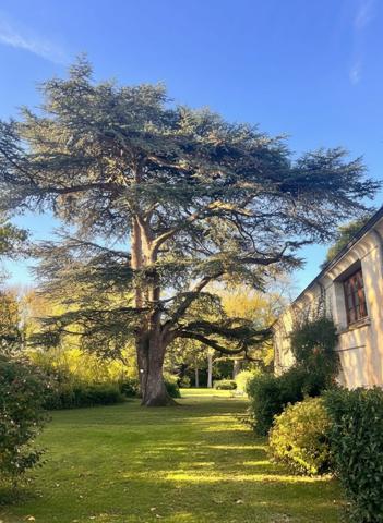 À vendre - Maison bourgeoise, 11 pièces située à Montoire-sur-le-Loir (41800)