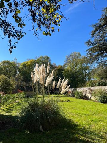À vendre - Maison bourgeoise, 11 pièces située à Montoire-sur-le-Loir (41800)