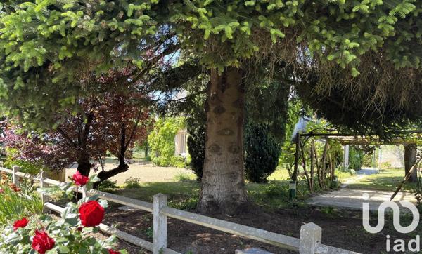 Maison à vendre 6 pièces 155 m² Baugé-en-Anjou