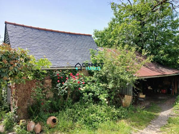 Maison individuelle avec un grand terrain attenant.