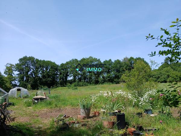 Maison individuelle avec un grand terrain attenant.