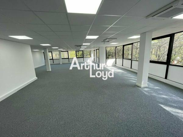 Bureaux rénovés à louer divisibles dès 73 m² - Sophia Antipolis