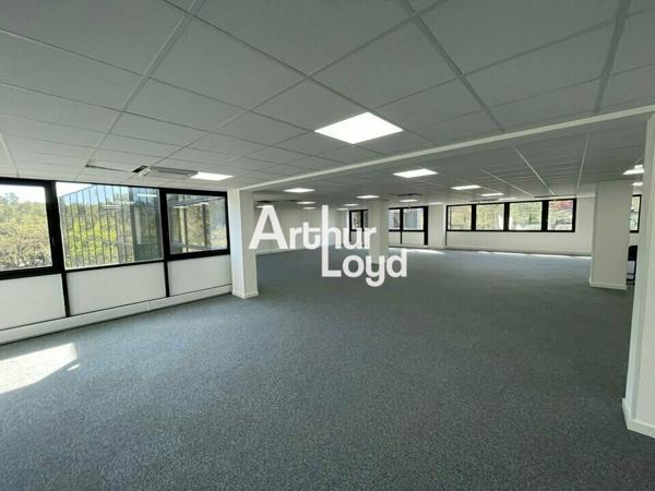 Bureaux rénovés à louer divisibles dès 73 m² - Sophia Antipolis