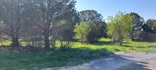 Perpignan (66000) TERRAIN MAS LLARO