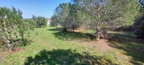 Perpignan (66000) TERRAIN MAS LLARO