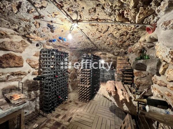 Maison 9 pièces - 300 m² Bien prestige