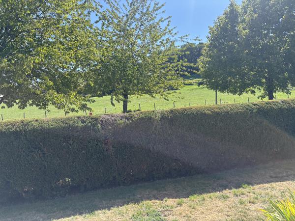 PLAIN PIED 3 piéces AURILLAC (15000) avec terrasse