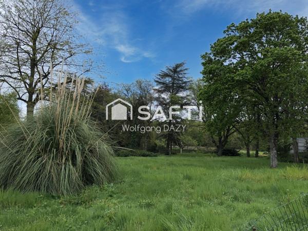 Terrain arboré à proximité de la forêt
