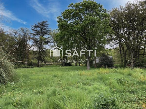Terrain arboré à proximité de la forêt
