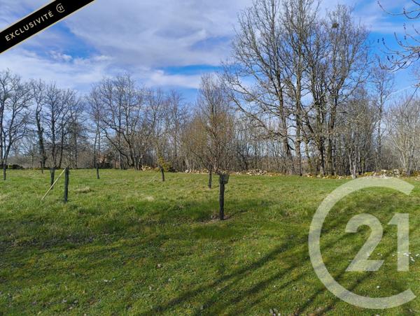 Maison à vendre  7 pièces - 219 m2 SALVIAC - 46