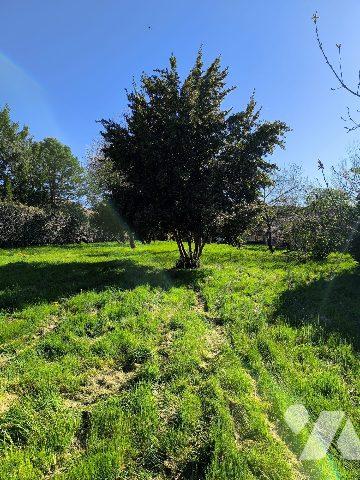 MAISON DE CAMPAGNE A FINIR DE RENOVER