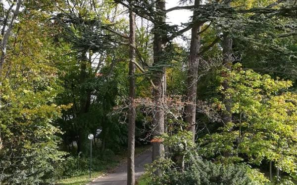 Appartement à vendre    3 pièces • 68,04 m2 Lyon 5