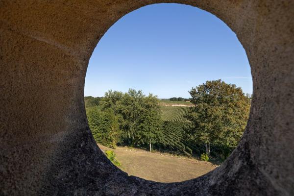 Vente Château Bordeaux 10 Pièces 2000 m²