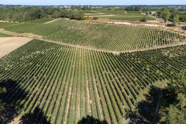 Vente Château Bordeaux 10 Pièces 2000 m²