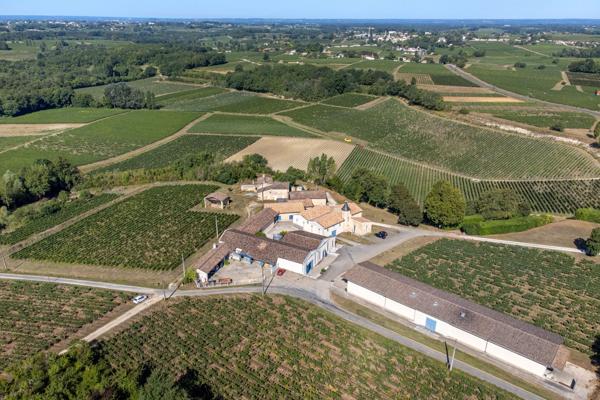 Vente Château Bordeaux 10 Pièces 2000 m²