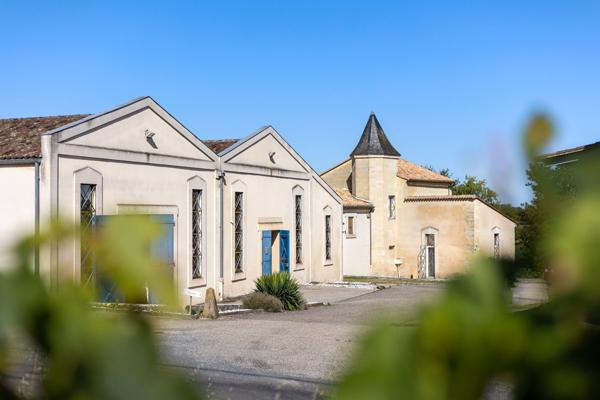 Vente Château Bordeaux 10 Pièces 2000 m²