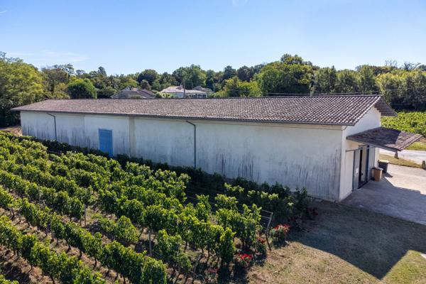 Vente Château Bordeaux 10 Pièces 2000 m²
