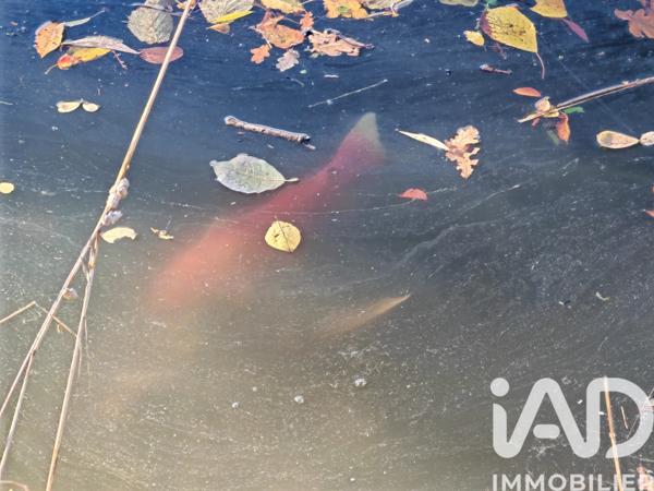 Terrain à vendre 113 246 m² Néris-les-Bains