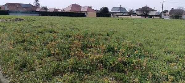 À vendre - Terrain projet construction 872 m² situé à Denguin (64230)