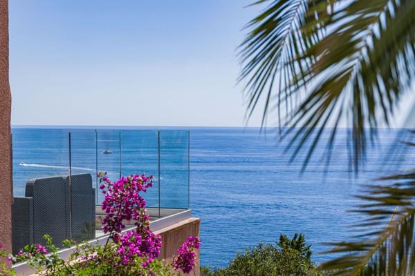 Vente Maison contemporaine Anthéor 4 Pièces 218 m²