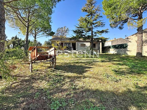 En exclusivité à Ouveillan : affaire rare d'exception !