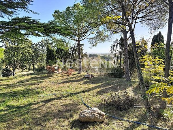 En exclusivité à Ouveillan : affaire rare d'exception !