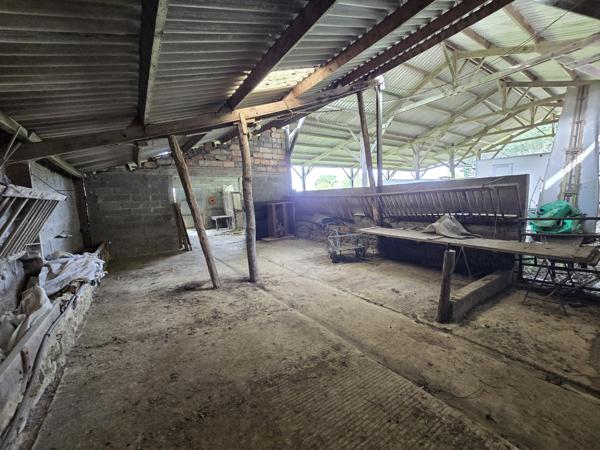 Maison de campagne à vendre – 3 chambres – Terrain de 4 000 m²