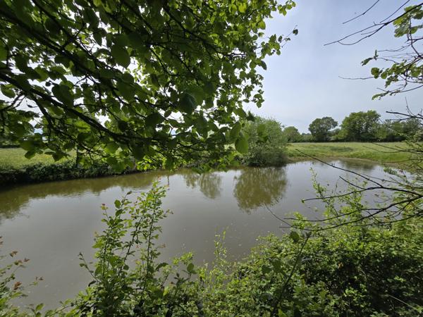 Maison de campagne à vendre – 3 chambres – Terrain de 4 000 m²