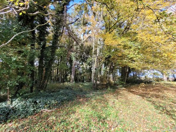 MONTRACOL - Villa T4 de plain-pied de 90 m² sur terrain de 4 570 m² Montracol (01310)