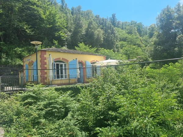 Terrain 9242 m2