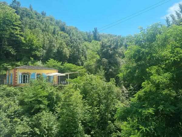 Terrain 9242 m2